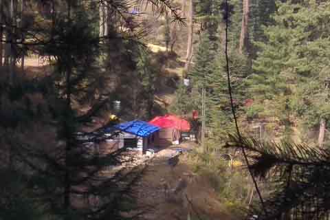 Pine Wood cottage jibhi himachale pradesh